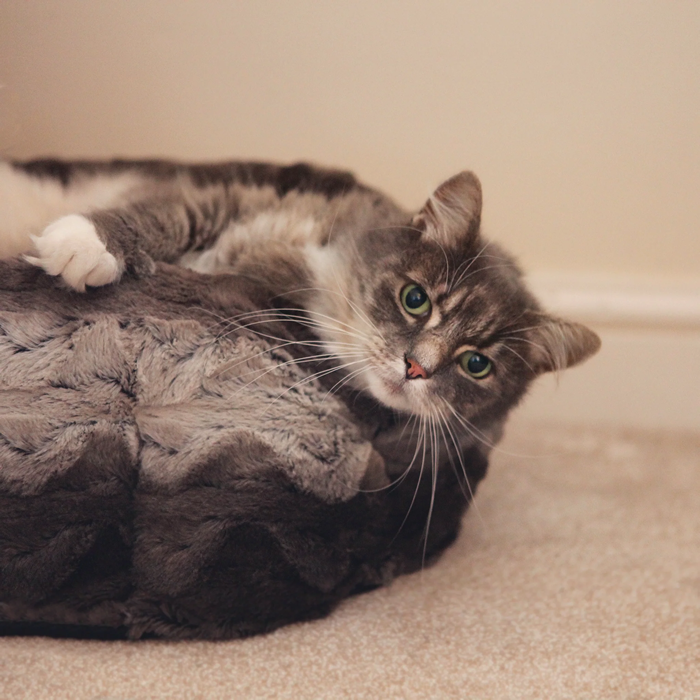 Grey and Cream Snuggle Plush Round Small - Image 2